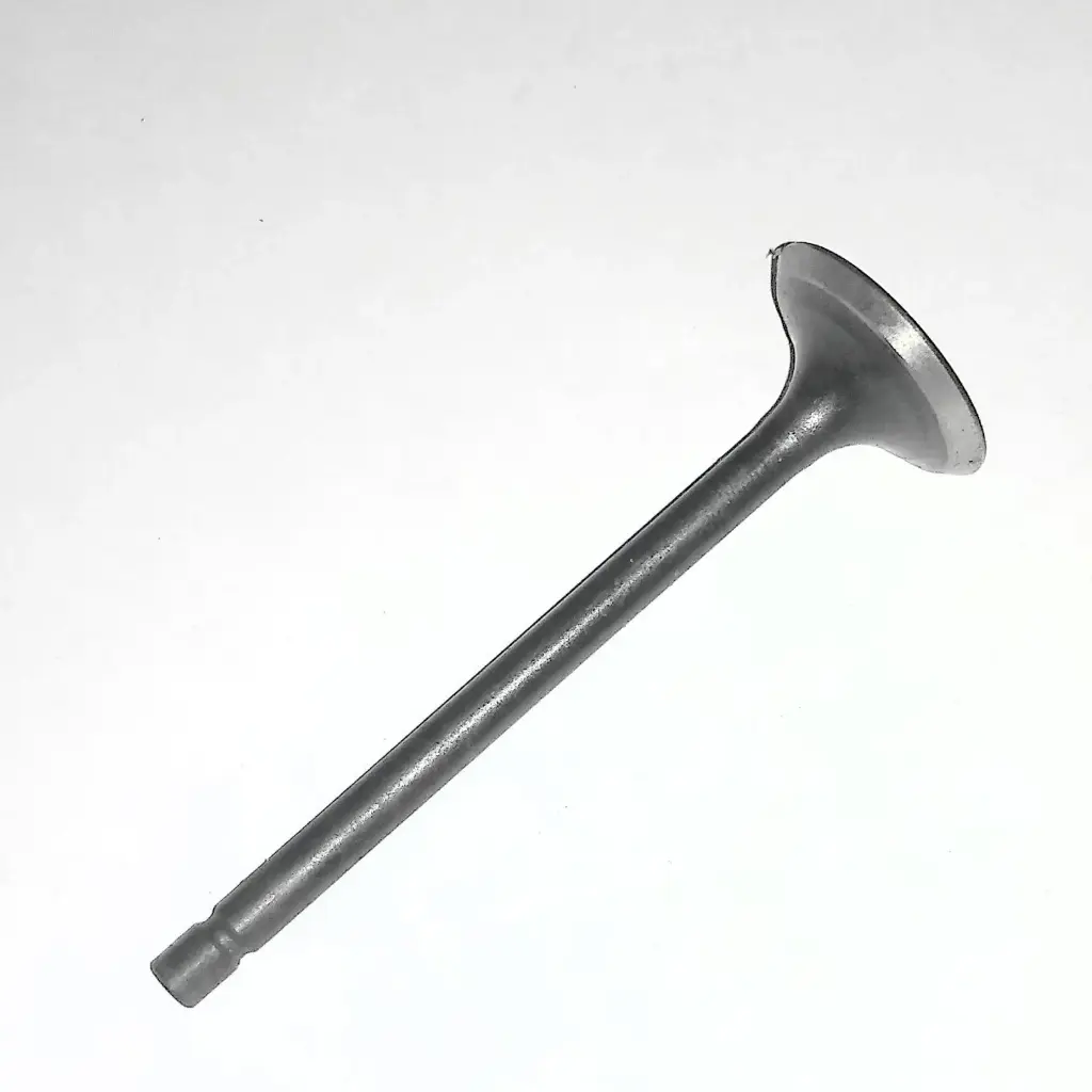 VALVE EXHAUST