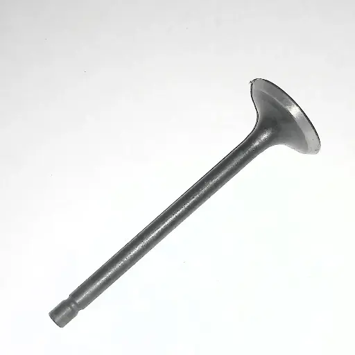 [M1010560] VALVE EXHAUST